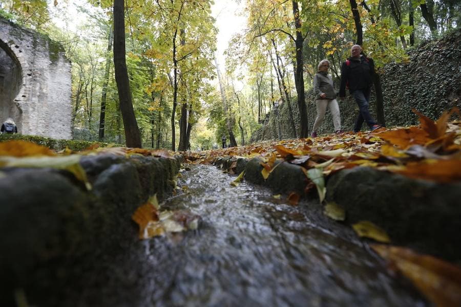 En estos días, los visitantes del bosque de la Alhambra pueden disfrutar de una estampa típica del otoño. Un gran manto de hojas caídas de los árboles se extiende sobre bancos, caminos, escaleras y entre los mismos árboles. El frío que cada vez es más patente y la lluvia han hecho que los árboles se muestren cada día más desnudos, para dejar en el suelo las hojas que nacieron con la primavera. Estampas que hacen más bello el bosque de la Alhambra. 