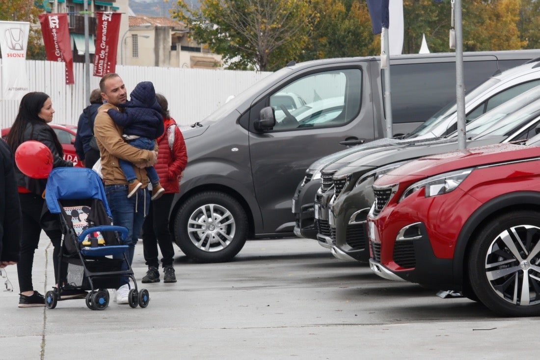 Hasta el domingo en el recinto de la Feria de Muestras