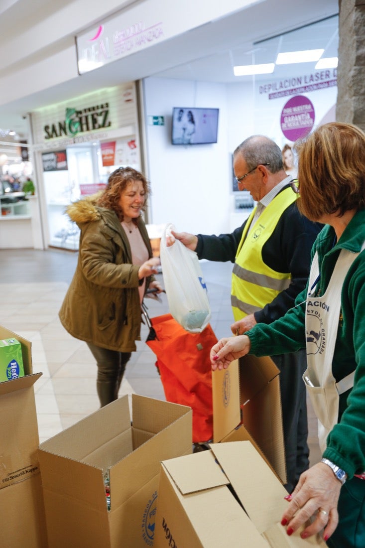 Esperan su punto álgido entre las cinco de la tarde y el cierre de los supermercados