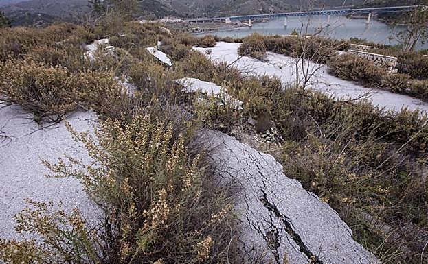 El mirador ahora, totalmente engullido. 