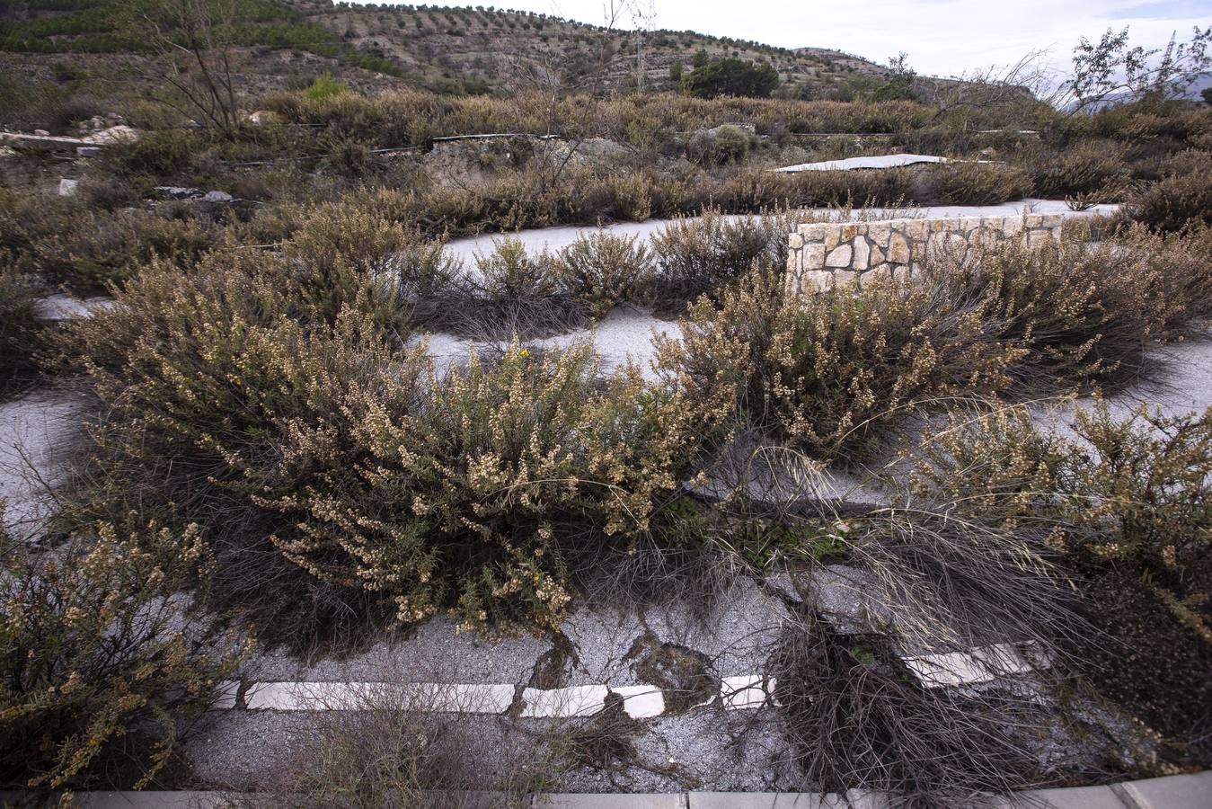 Fomento no se plantea repararlo