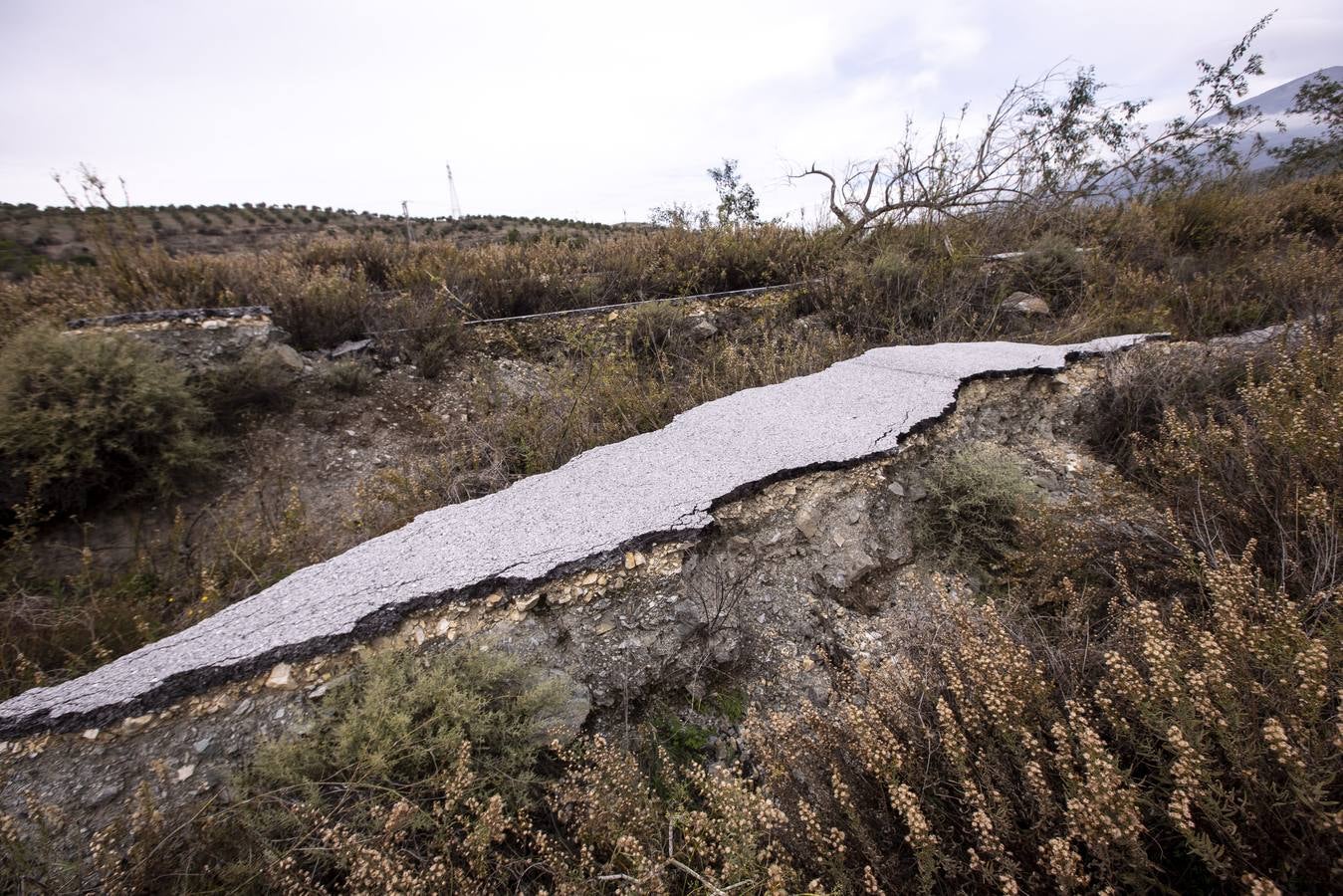 Fomento no se plantea repararlo