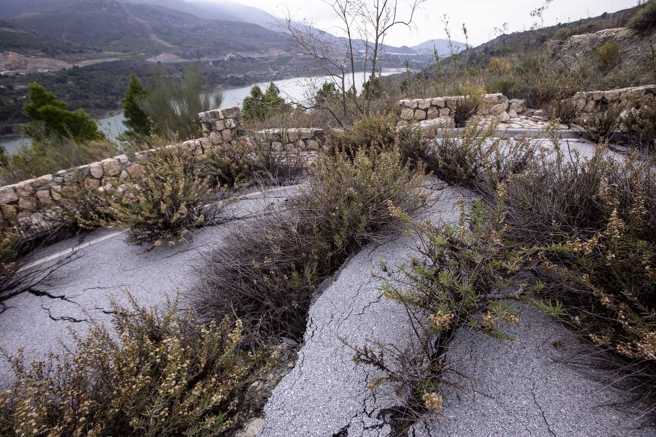 Fomento no se plantea repararlo