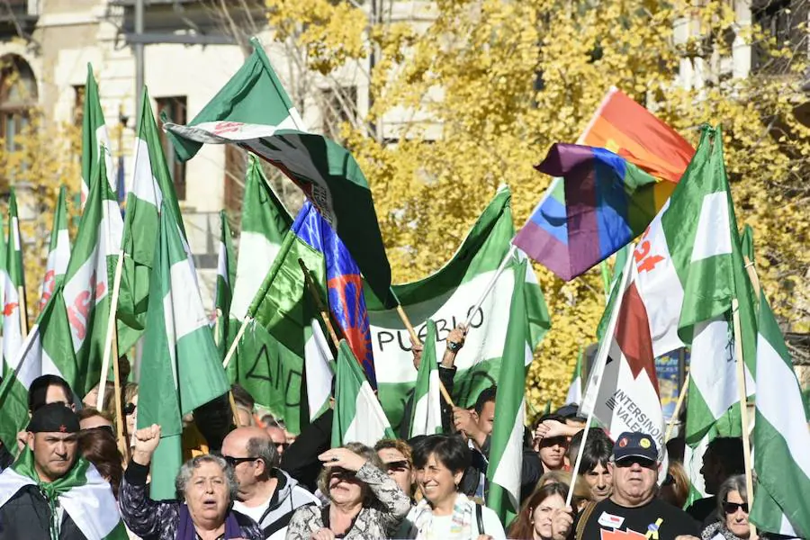 A la marcha se han unido los componentes de la plataforma antifacista del 3D