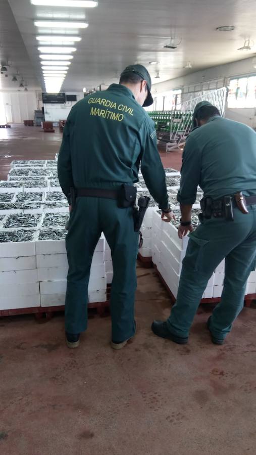 La Guardia Civil intervenio más de 2.600 kilos de pescado