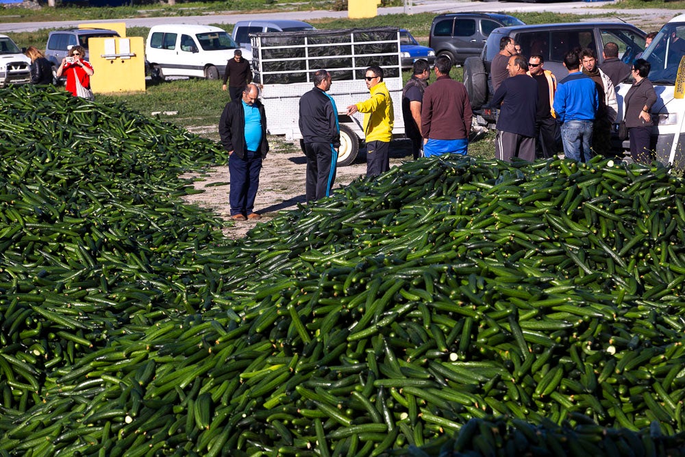 Confían en que la destrucción del producto tenga sus efectos y los precios suban porque ahora «les está costando el dinero» 