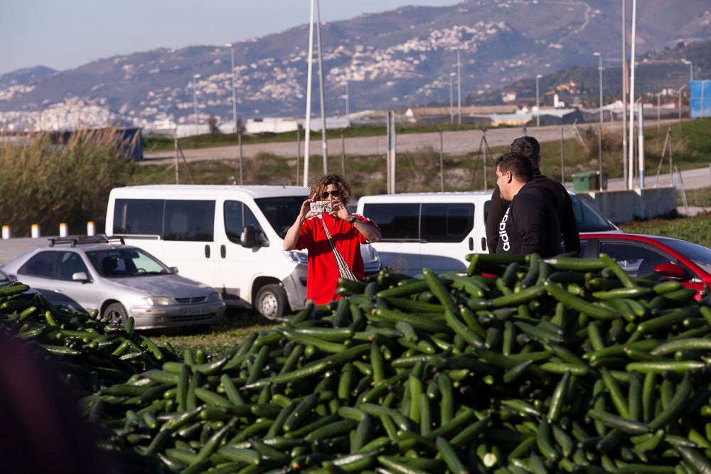 Confían en que la destrucción del producto tenga sus efectos y los precios suban porque ahora «les está costando el dinero» 