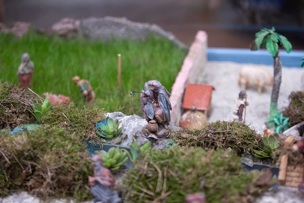 El Huerto, la Vera Cruz, los colegios Virgen del Mar, Arco Iris, Cardenal Belluga consiguen premio en el concurso