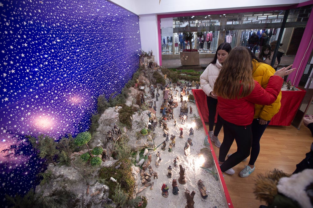El Huerto, la Vera Cruz, los colegios Virgen del Mar, Arco Iris, Cardenal Belluga consiguen premio en el concurso
