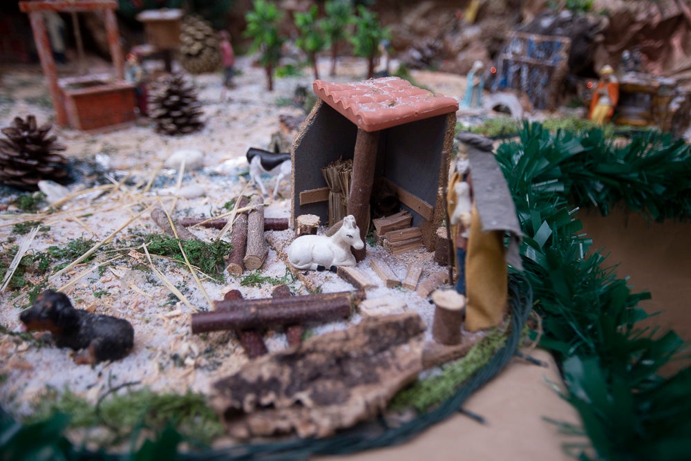 El Huerto, la Vera Cruz, los colegios Virgen del Mar, Arco Iris, Cardenal Belluga consiguen premio en el concurso