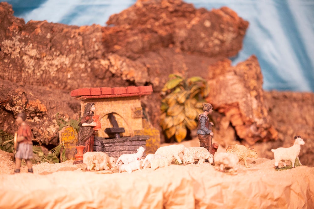 El Huerto, la Vera Cruz, los colegios Virgen del Mar, Arco Iris, Cardenal Belluga consiguen premio en el concurso