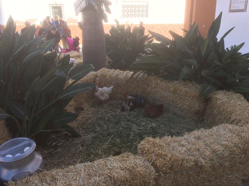 El Huerto, la Vera Cruz, los colegios Virgen del Mar, Arco Iris, Cardenal Belluga consiguen premio en el concurso