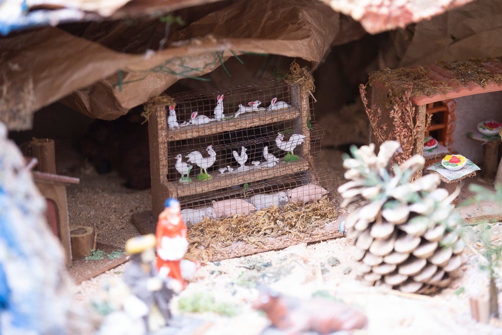 El Huerto, la Vera Cruz, los colegios Virgen del Mar, Arco Iris, Cardenal Belluga consiguen premio en el concurso