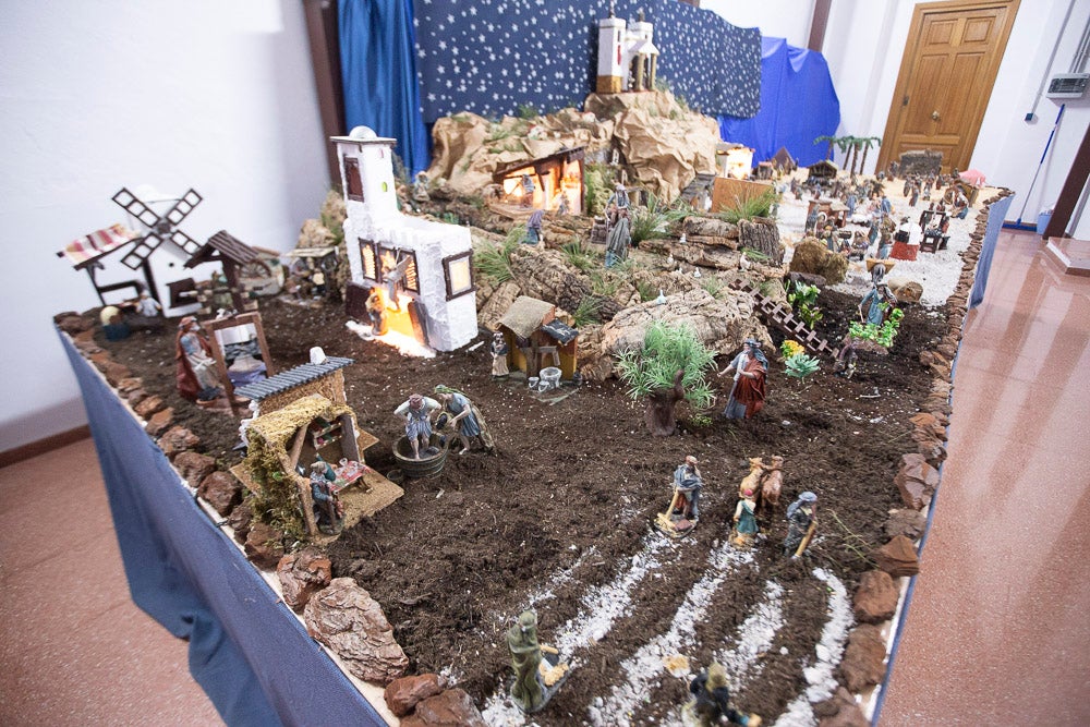 El Huerto, la Vera Cruz, los colegios Virgen del Mar, Arco Iris, Cardenal Belluga consiguen premio en el concurso