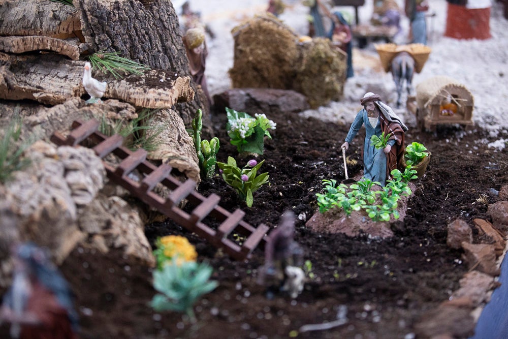 El Huerto, la Vera Cruz, los colegios Virgen del Mar, Arco Iris, Cardenal Belluga consiguen premio en el concurso