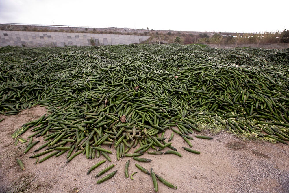 Ahora empezarán a llevarse directamente a la planta de residuos