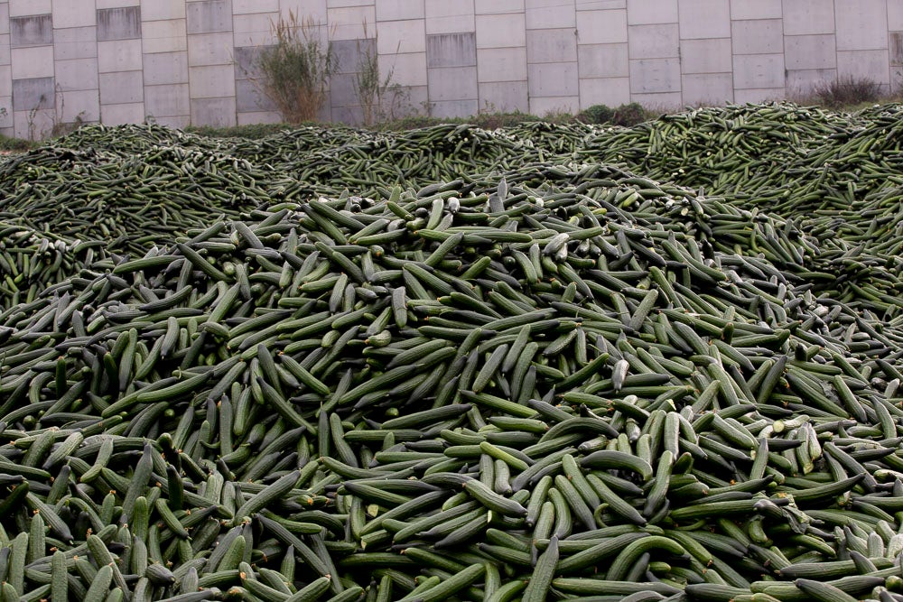 Ahora empezarán a llevarse directamente a la planta de residuos