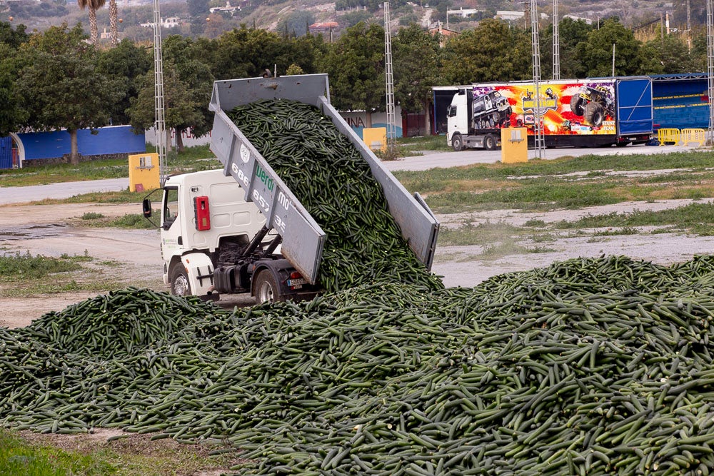 Ahora empezarán a llevarse directamente a la planta de residuos
