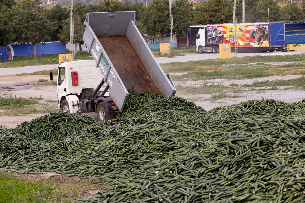 Ahora empezarán a llevarse directamente a la planta de residuos