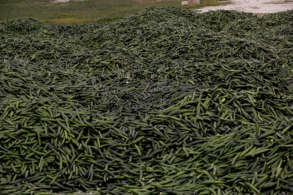 Ahora empezarán a llevarse directamente a la planta de residuos