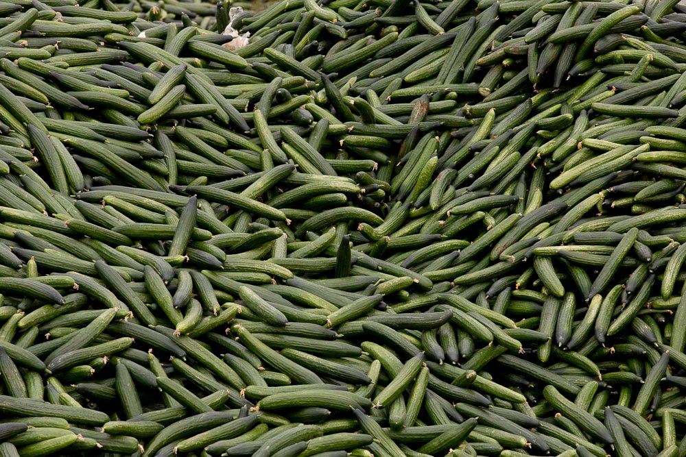 Ahora empezarán a llevarse directamente a la planta de residuos