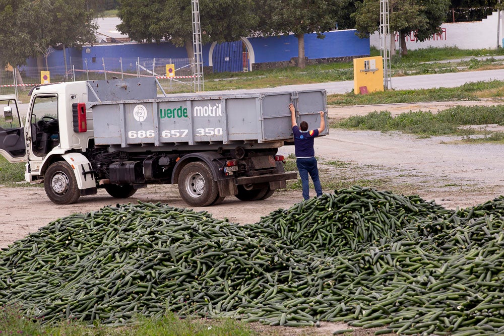 Ahora empezarán a llevarse directamente a la planta de residuos