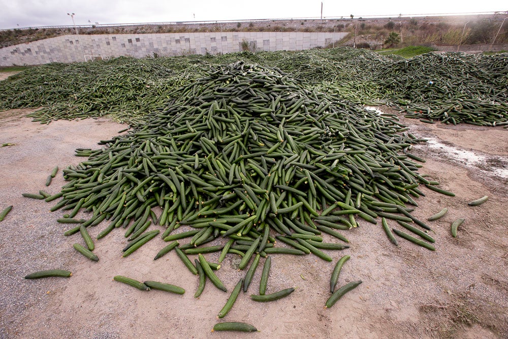 Ahora empezarán a llevarse directamente a la planta de residuos