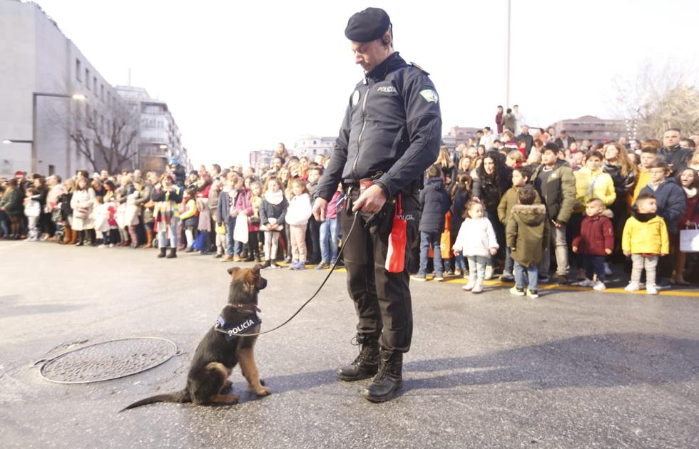 Stan Lee, el perro de la Policía Local de Granada, foco de todas las miradas.