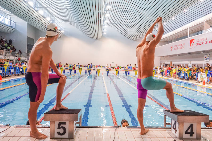 Casi 300 nadadores se dan cita en el II Trofeo Internacional Granada Ciudad Universitaria se celebra este fin de semana