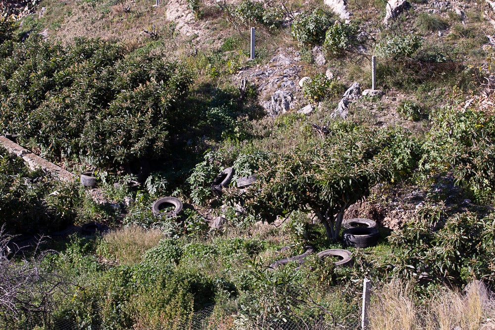 El año pasado voluntarios sacaron 800 ruedas de los acantilados de Castell, un caso flagrante. El Seprona advierte que realizará apostaderos para buscar a los autores