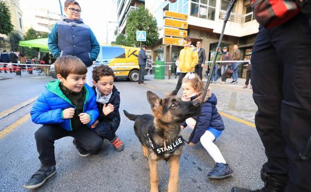Varios niños juegan con el cachorro de la Policía Local de Granada
