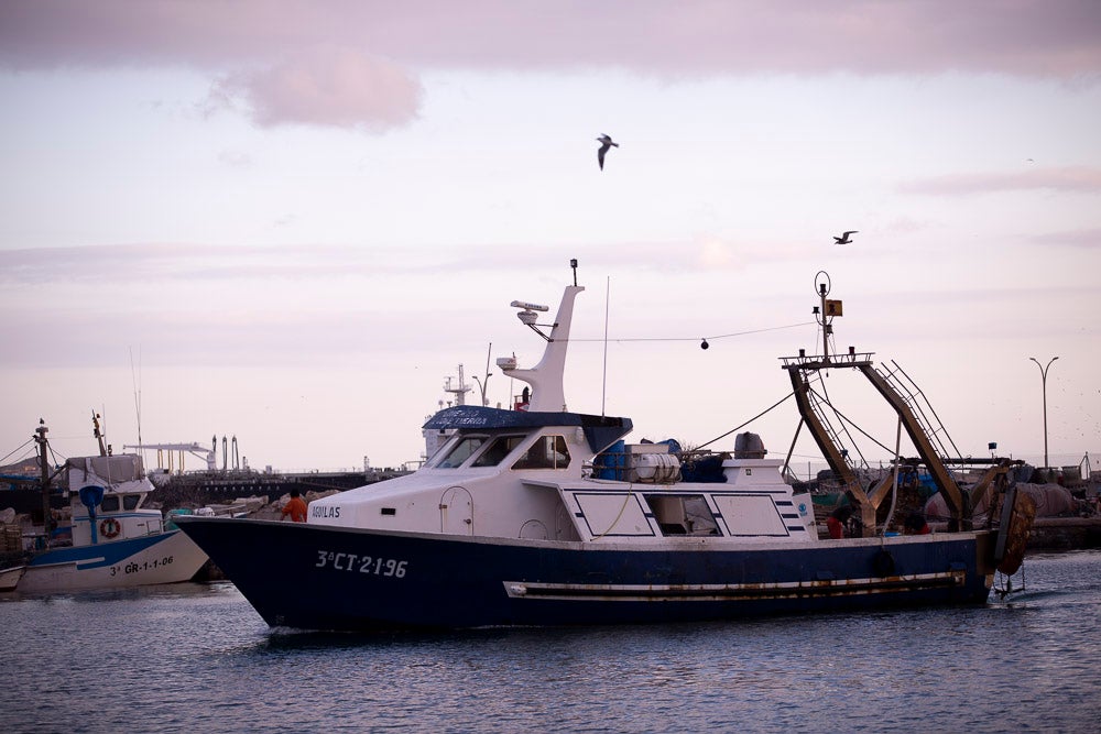 El pescado motrileño va a las pescaderías y a la hostelería, aunque los hosteleros no suelen ir a comprar directamente, sino que declinan esa tarea en los distribuidores