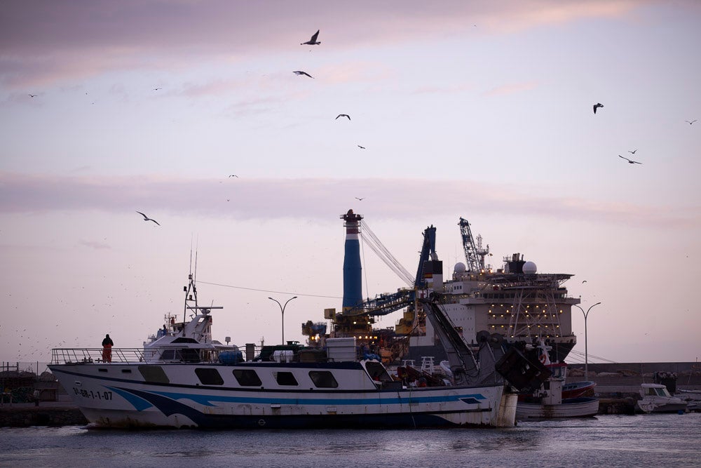 El pescado motrileño va a las pescaderías y a la hostelería, aunque los hosteleros no suelen ir a comprar directamente, sino que declinan esa tarea en los distribuidores