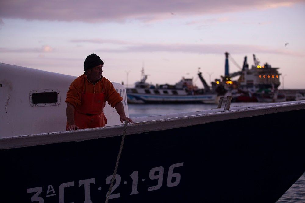 El pescado motrileño va a las pescaderías y a la hostelería, aunque los hosteleros no suelen ir a comprar directamente, sino que declinan esa tarea en los distribuidores