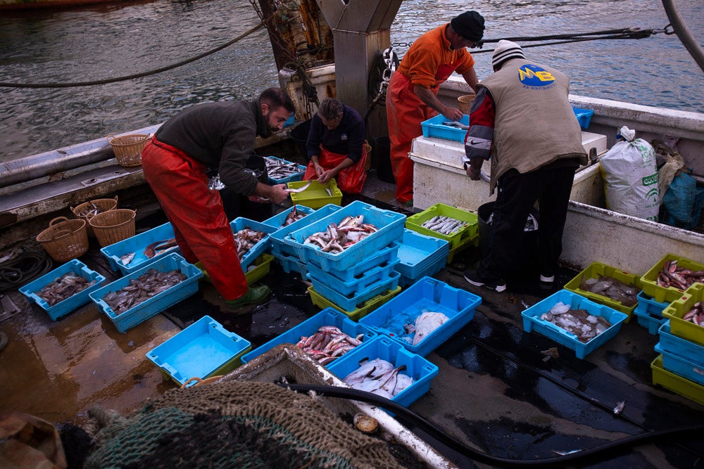 El pescado motrileño va a las pescaderías y a la hostelería, aunque los hosteleros no suelen ir a comprar directamente, sino que declinan esa tarea en los distribuidores