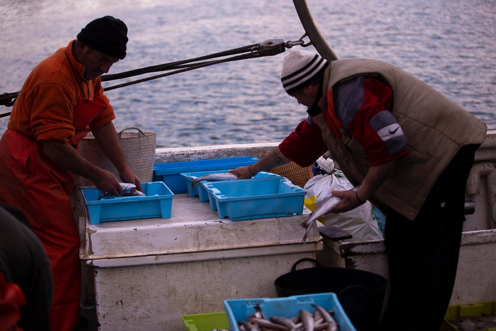 El pescado motrileño va a las pescaderías y a la hostelería, aunque los hosteleros no suelen ir a comprar directamente, sino que declinan esa tarea en los distribuidores