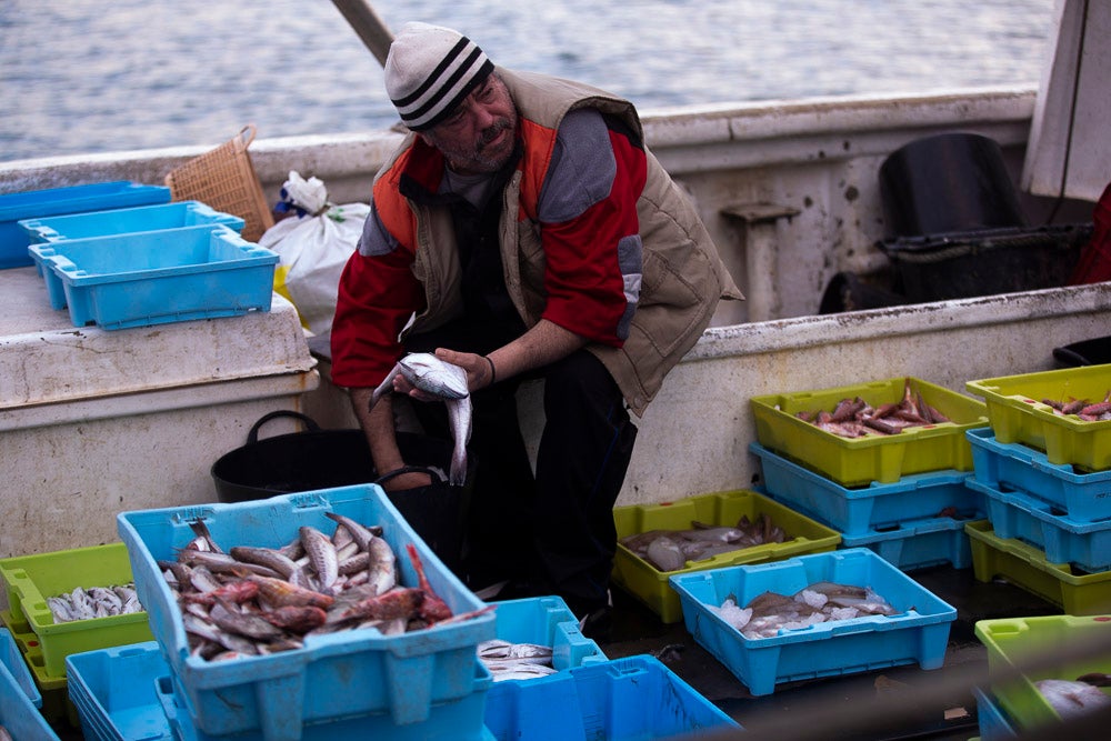 El pescado motrileño va a las pescaderías y a la hostelería, aunque los hosteleros no suelen ir a comprar directamente, sino que declinan esa tarea en los distribuidores