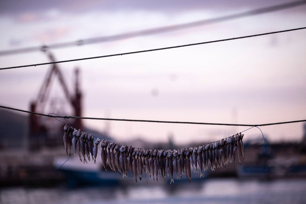 El pescado motrileño va a las pescaderías y a la hostelería, aunque los hosteleros no suelen ir a comprar directamente, sino que declinan esa tarea en los distribuidores
