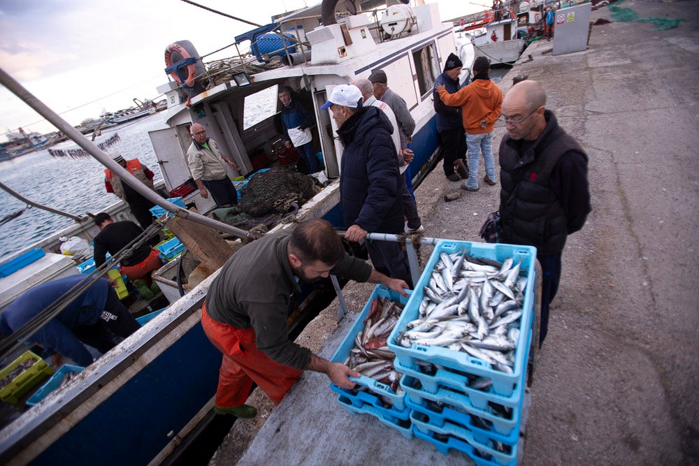 El pescado motrileño va a las pescaderías y a la hostelería, aunque los hosteleros no suelen ir a comprar directamente, sino que declinan esa tarea en los distribuidores