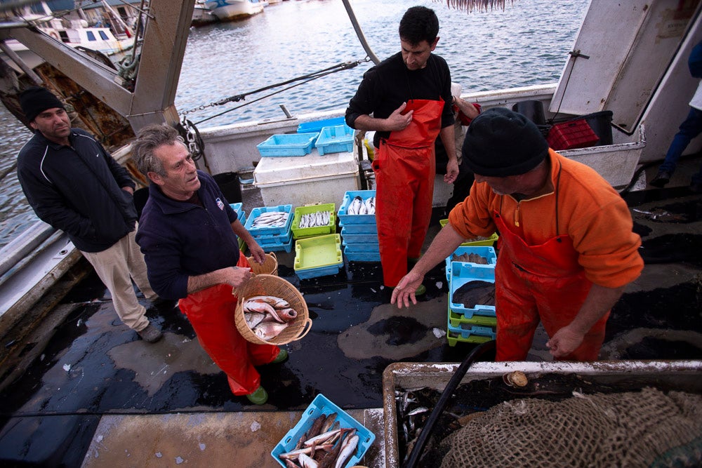 El pescado motrileño va a las pescaderías y a la hostelería, aunque los hosteleros no suelen ir a comprar directamente, sino que declinan esa tarea en los distribuidores