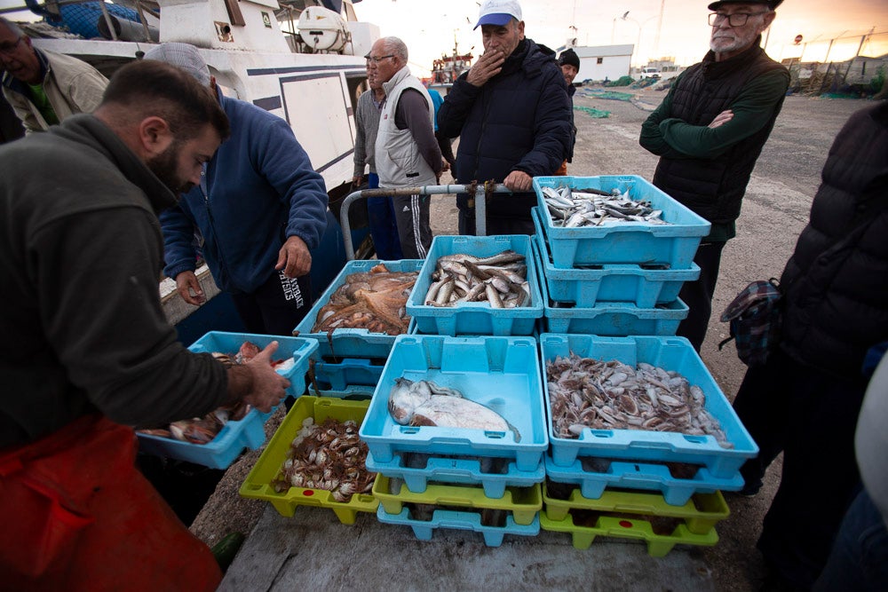 El pescado motrileño va a las pescaderías y a la hostelería, aunque los hosteleros no suelen ir a comprar directamente, sino que declinan esa tarea en los distribuidores
