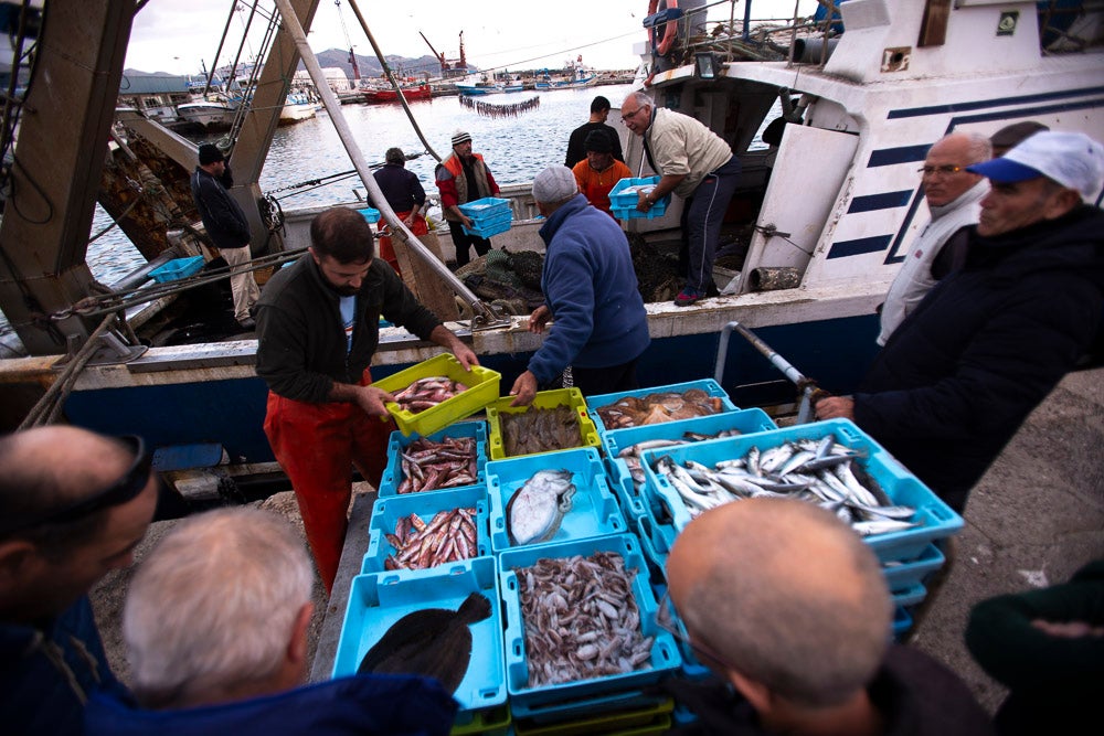 El pescado motrileño va a las pescaderías y a la hostelería, aunque los hosteleros no suelen ir a comprar directamente, sino que declinan esa tarea en los distribuidores