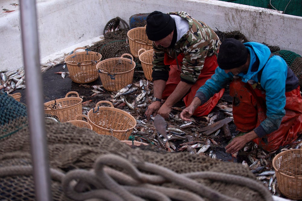 El pescado motrileño va a las pescaderías y a la hostelería, aunque los hosteleros no suelen ir a comprar directamente, sino que declinan esa tarea en los distribuidores