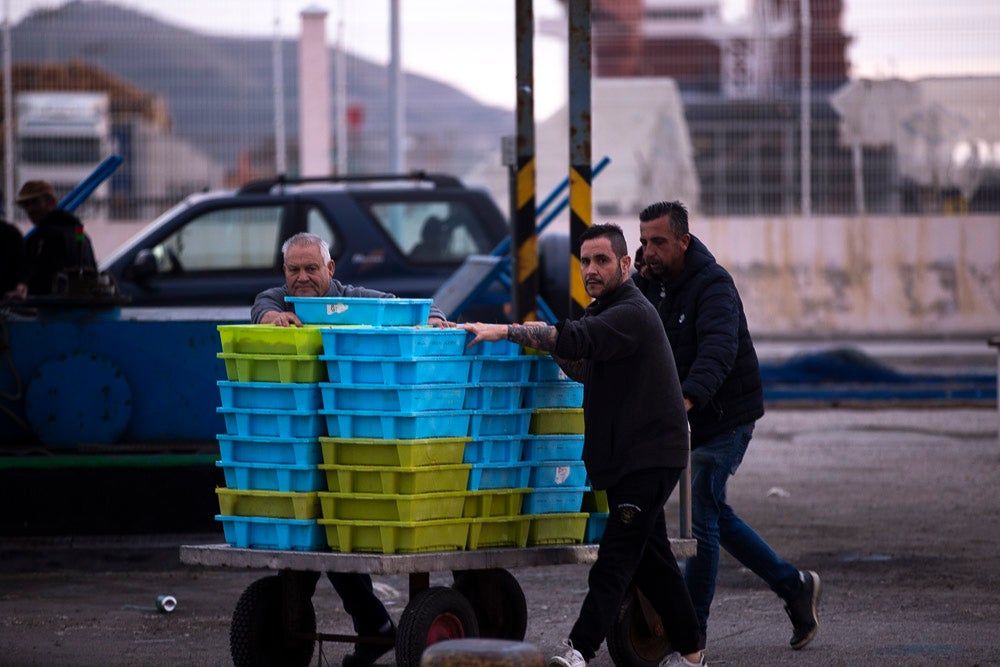 El pescado motrileño va a las pescaderías y a la hostelería, aunque los hosteleros no suelen ir a comprar directamente, sino que declinan esa tarea en los distribuidores