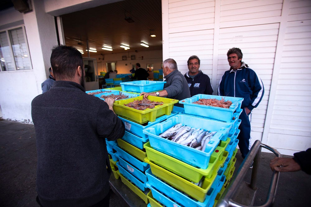 El pescado motrileño va a las pescaderías y a la hostelería, aunque los hosteleros no suelen ir a comprar directamente, sino que declinan esa tarea en los distribuidores