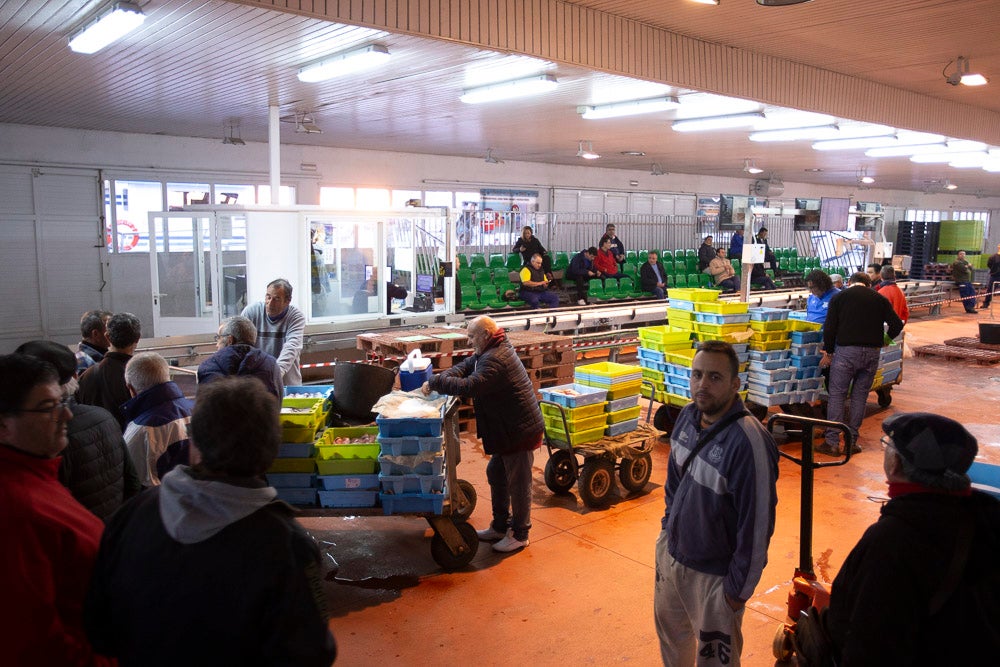 El pescado motrileño va a las pescaderías y a la hostelería, aunque los hosteleros no suelen ir a comprar directamente, sino que declinan esa tarea en los distribuidores