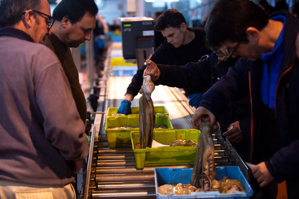El pescado motrileño va a las pescaderías y a la hostelería, aunque los hosteleros no suelen ir a comprar directamente, sino que declinan esa tarea en los distribuidores