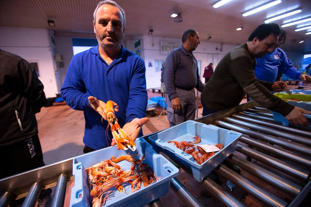 El pescado motrileño va a las pescaderías y a la hostelería, aunque los hosteleros no suelen ir a comprar directamente, sino que declinan esa tarea en los distribuidores