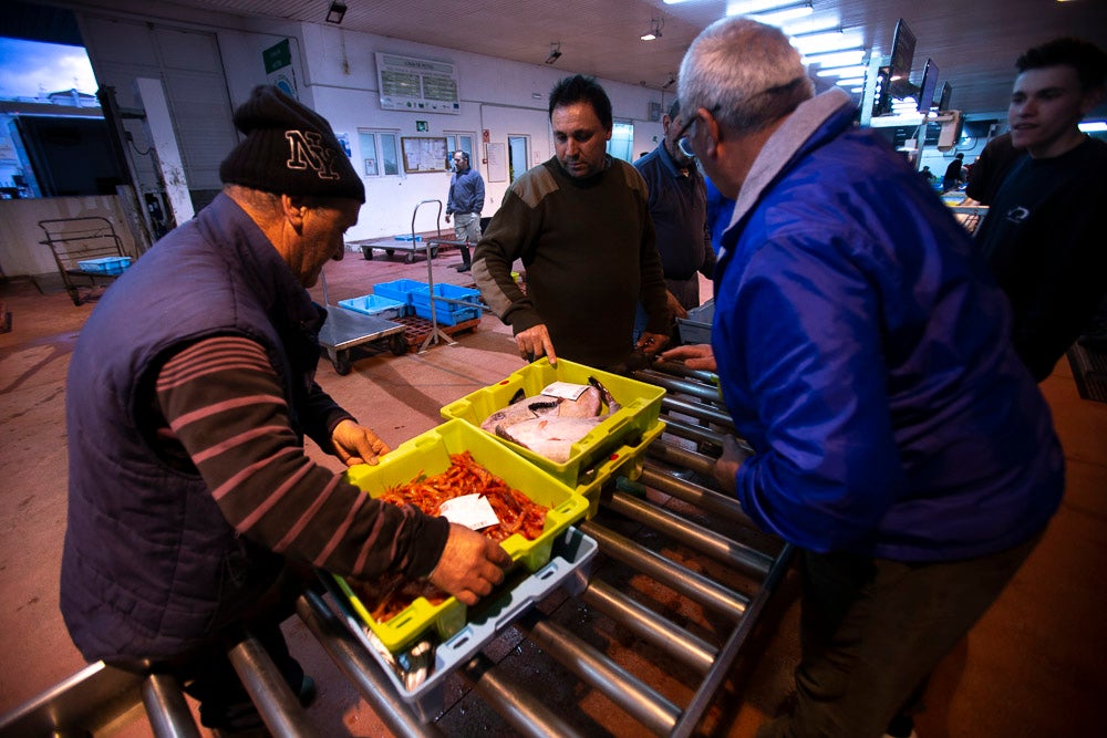 El pescado motrileño va a las pescaderías y a la hostelería, aunque los hosteleros no suelen ir a comprar directamente, sino que declinan esa tarea en los distribuidores