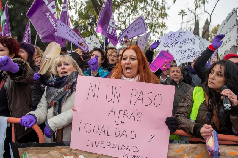 La concentración, con una organización coral y a la que se han unido más de 45 colectivos feministas, se celebra bajo el lema 'Ni un paso atrás en igualdad y diversidad